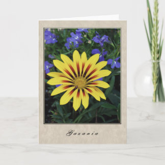 Gazania - BloemenReeks Kaart