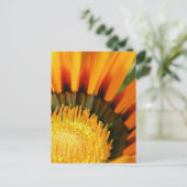Gazania Briefkaart (Staand voorkant)