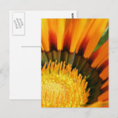 Gazania Briefkaart (Voorkant / Achterkant)