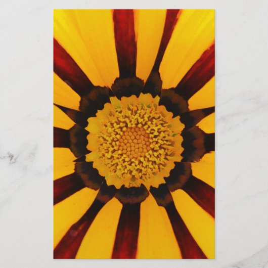 GAZANIA BRIEFPAPIER (Voorkant)