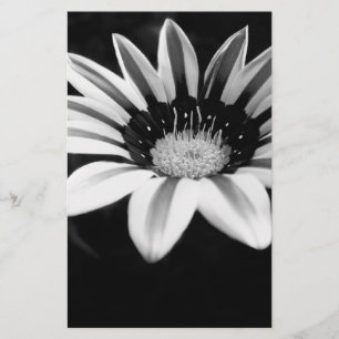 Gazania Briefpapier