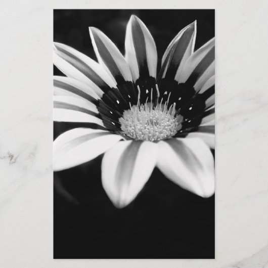 Gazania Briefpapier (Voorkant)