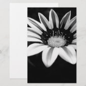 Gazania Briefpapier (Voorkant / Achterkant)