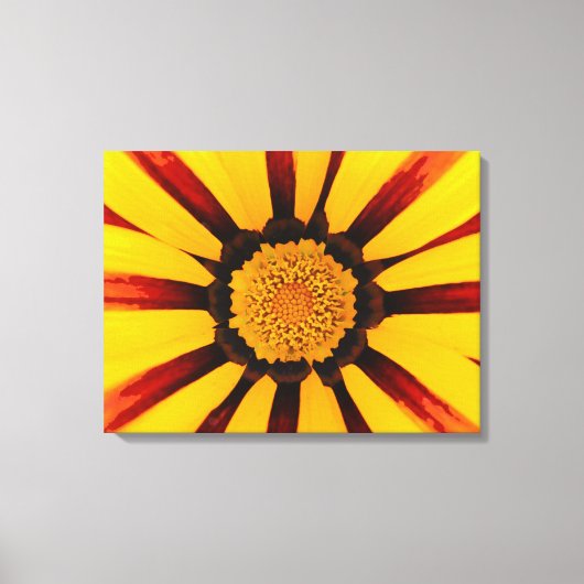 Gazania Canvas Afdruk (Voorkant)