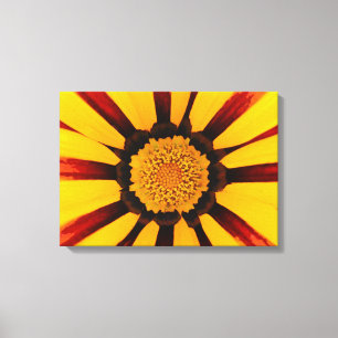 Gazania Canvas Afdruk