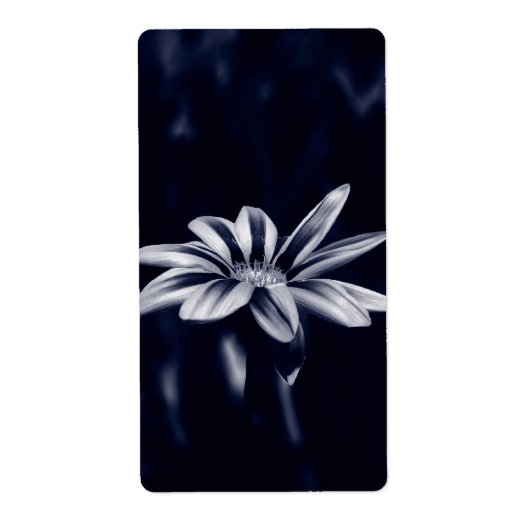 GAZANIA ETIKET (Voorkant)