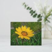Gazania Flower Briefkaart (Staand voorkant)