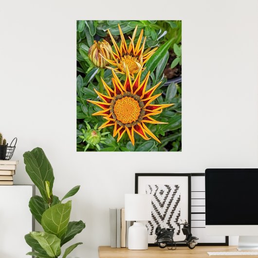 Gazania Flower Poster (Thuiskantoor)
