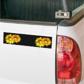 GAZANIA, GAZANIA BUMPERSTICKER (Op Truck)