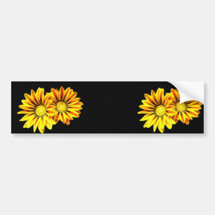 GAZANIA, GAZANIA BUMPERSTICKER