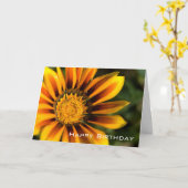 Gazania | Gelukkige Verjaardag Kaart (Gele Bloem)