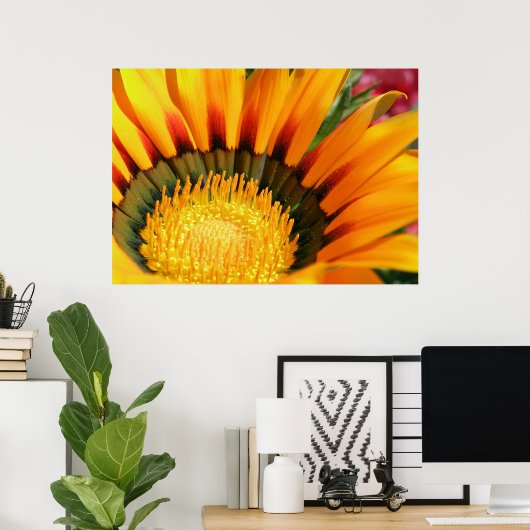 Gazania Poster (Thuiskantoor)