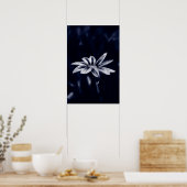 gazania poster (Keuken)