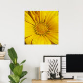 Gazania Poster (Thuiskantoor)
