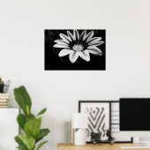 Gazania Poster (Thuiskantoor)