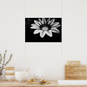 Gazania Poster (Keuken)