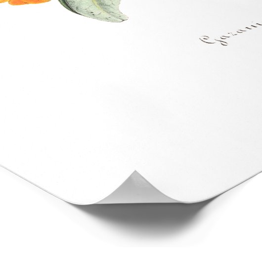 Gazania splendens poster (Hoek)