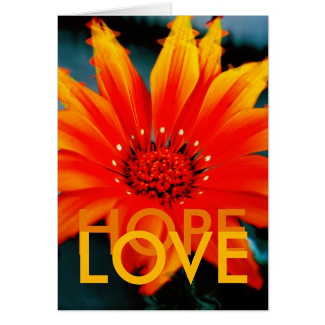 GAZANIART-Kaart (Voorkant)