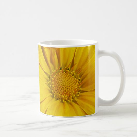 Gazanias Koffiemok (Rechts)
