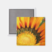 Gazanias Magneet (Voorkant / Achterkant)