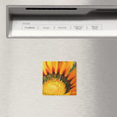 Gazanias Magneet (Insitu (Vaatwasser))