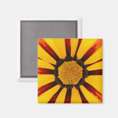 Gazanias Magneet (Voorkant / Achterkant)