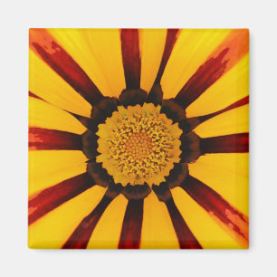 Gazanias Magneet