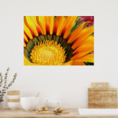 Gazanias Poster (Keuken)