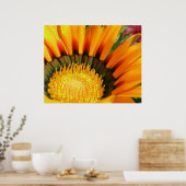 Gazanias Poster (Keuken)