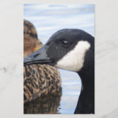 Gaze Briefpapier (Voorkant)