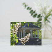 "Gazebo"-Briefkaart Briefkaart (Staand voorkant)