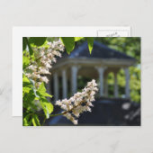 "Gazebo"-Briefkaart Briefkaart (Voorkant / Achterkant)