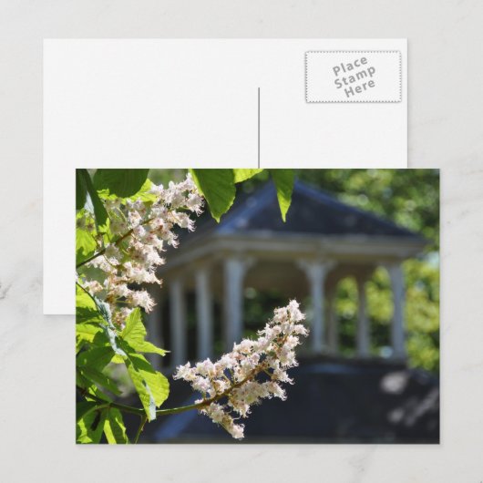 "Gazebo"-Briefkaart Briefkaart (Voorkant / Achterkant)