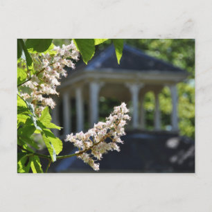 "Gazebo"-Briefkaart Briefkaart