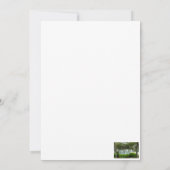 gazebo fort pierce florida kaart (Achterkant)