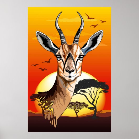 gazelle afrikaanse antilope wild dier poster (Voorkant)