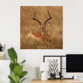 Gazelle Big Horn met Poster (Thuiskantoor)