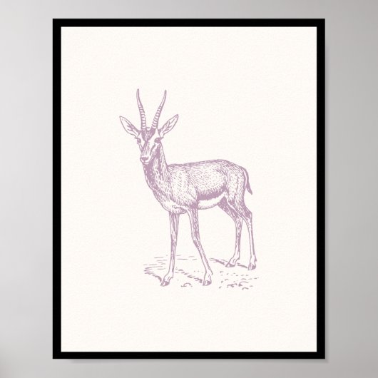 Gazelle Deer Poster (Voorkant)