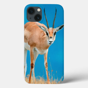 Gazelle (Gazella Granti) Ewe Portrait Case-Mate iPhone Case