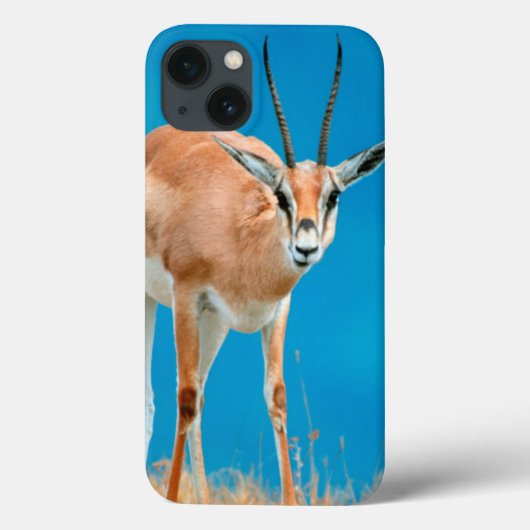 Gazelle (Gazella Granti) Ewe Portrait Case-Mate iPhone Case (Achterkant)