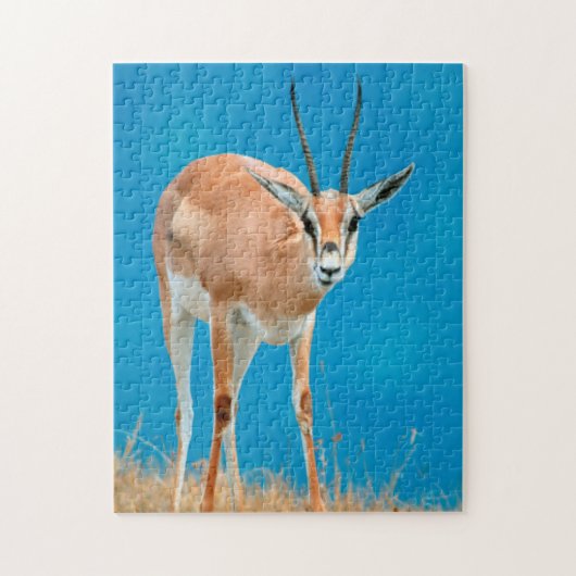 Gazelle (Gazella Granti) Ewe Portrait Legpuzzel (Verticaal)