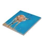 Gazelle (Gazella Granti) Ewe Portrait Tegeltje (Zijkant)