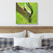 Gazelle Grazing Canvas print (Insitu (Slaapkamer))