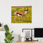 Gazelle in de weide poster (Thuiskantoor)