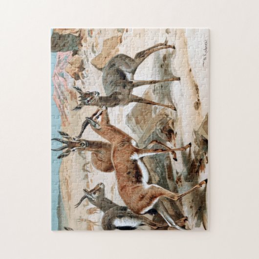 Gazelle Legpuzzel (Verticaal)