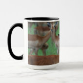 Gazelle Mug Mok (Links)
