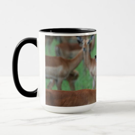 Gazelle Mug Mok (Links)