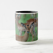 Gazelle Mug Mok (Midden)