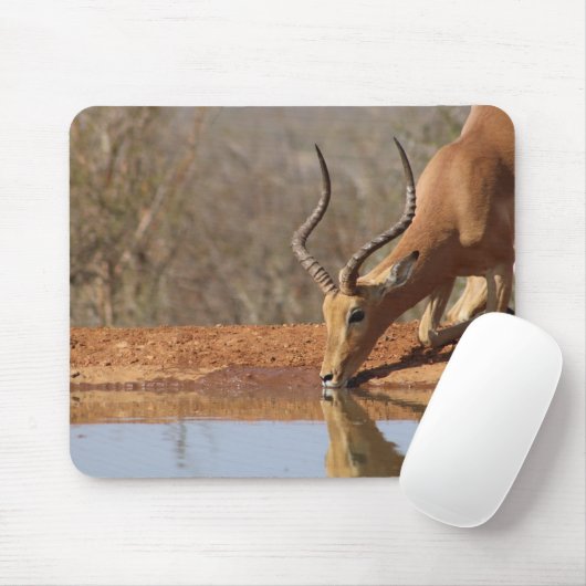 Gazelle Muismat (Met muis)