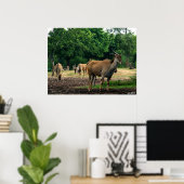 gazelle poster (Thuiskantoor)